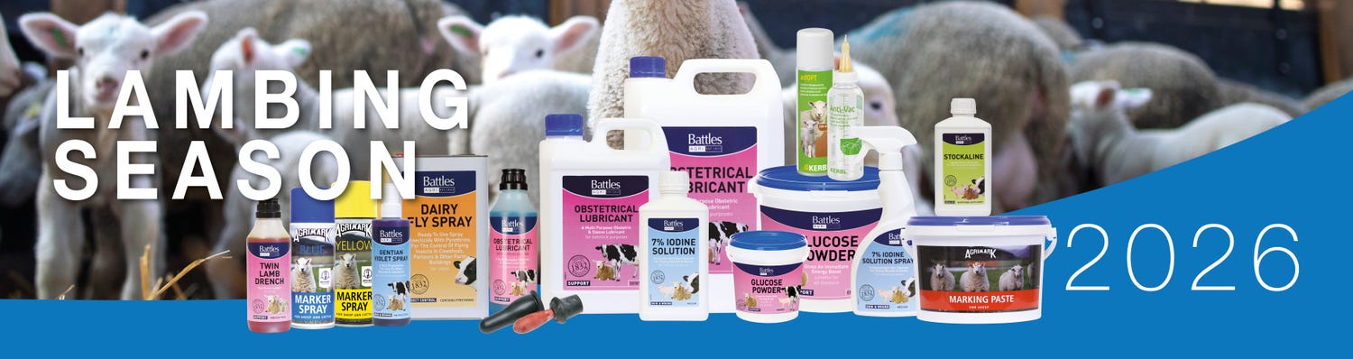 Lambing banner Lincoln